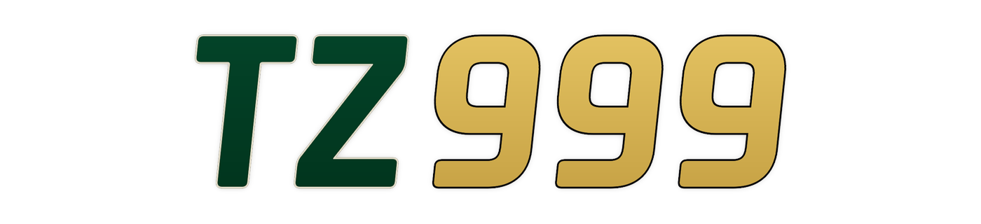 tz999